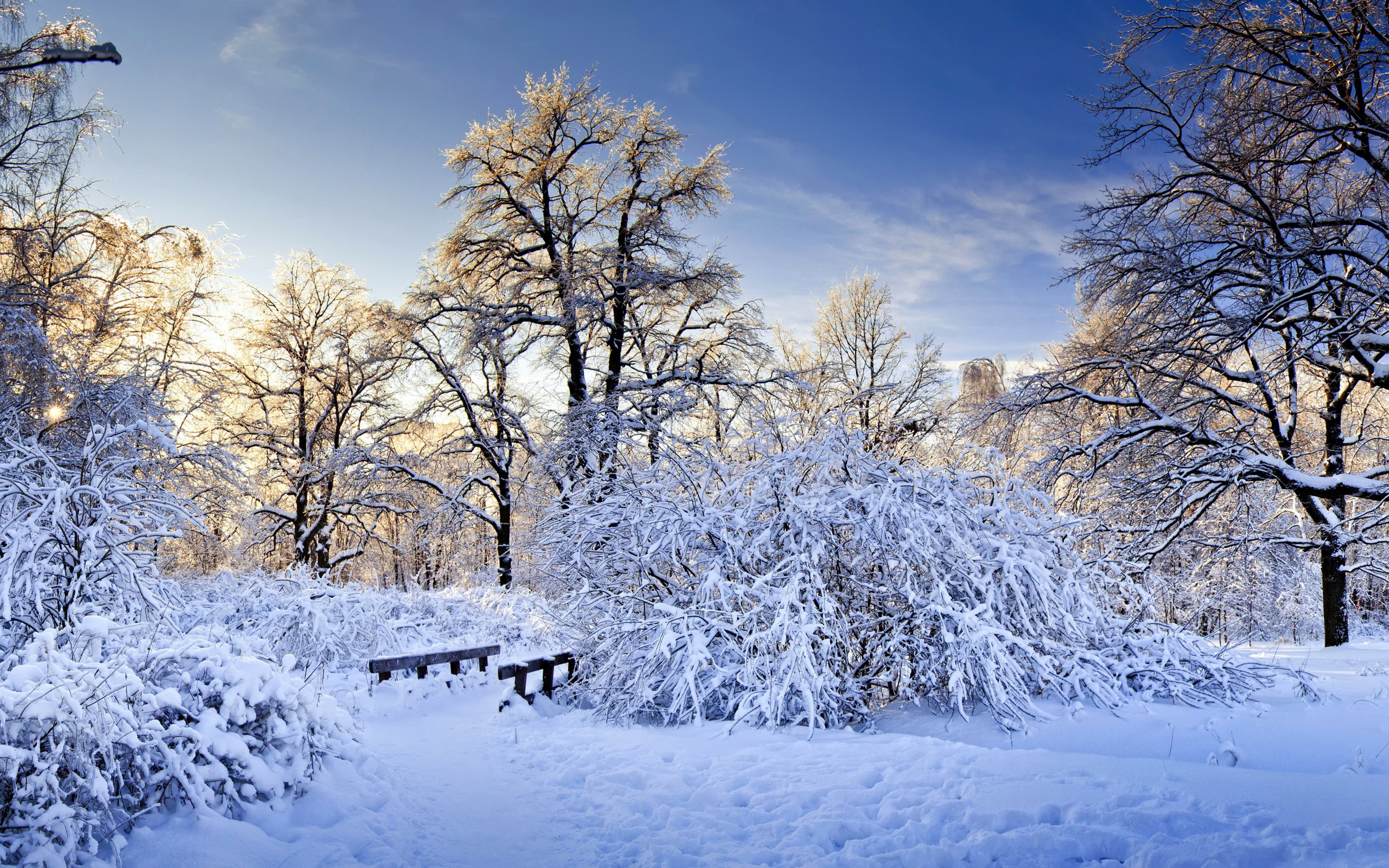 عکس فصل زمستان در طبیعت و زمین پوشیده از برف 