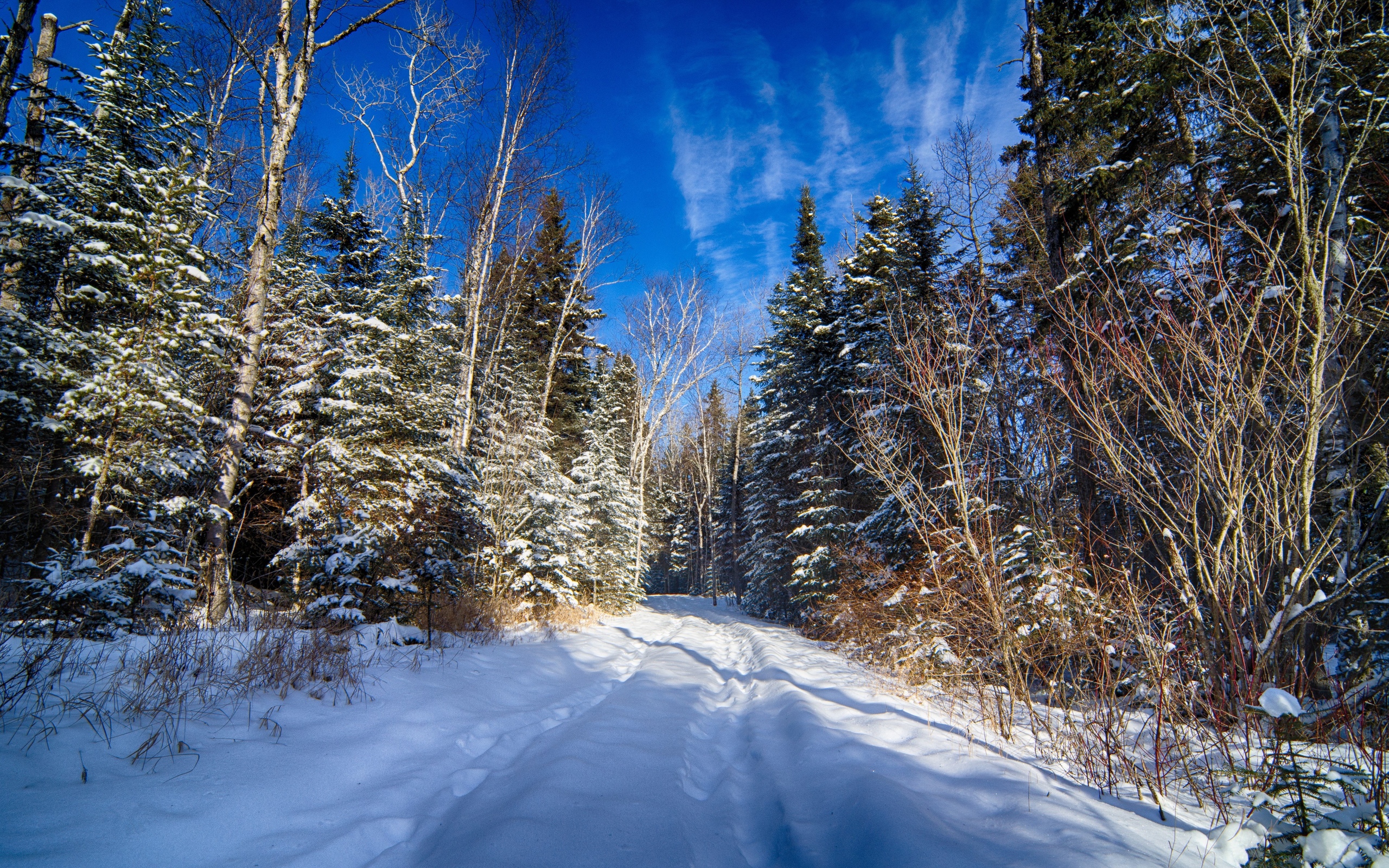 تصاویر فصل زمستان زیبا برای الهام گرفتن نقاشان از این مناظر شاهکار خلقت