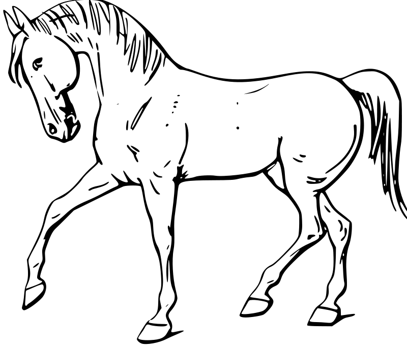 طرح ساده گرافیکی اسب زیبا با فرمت پی ان جی PNG و زمینه سفید 