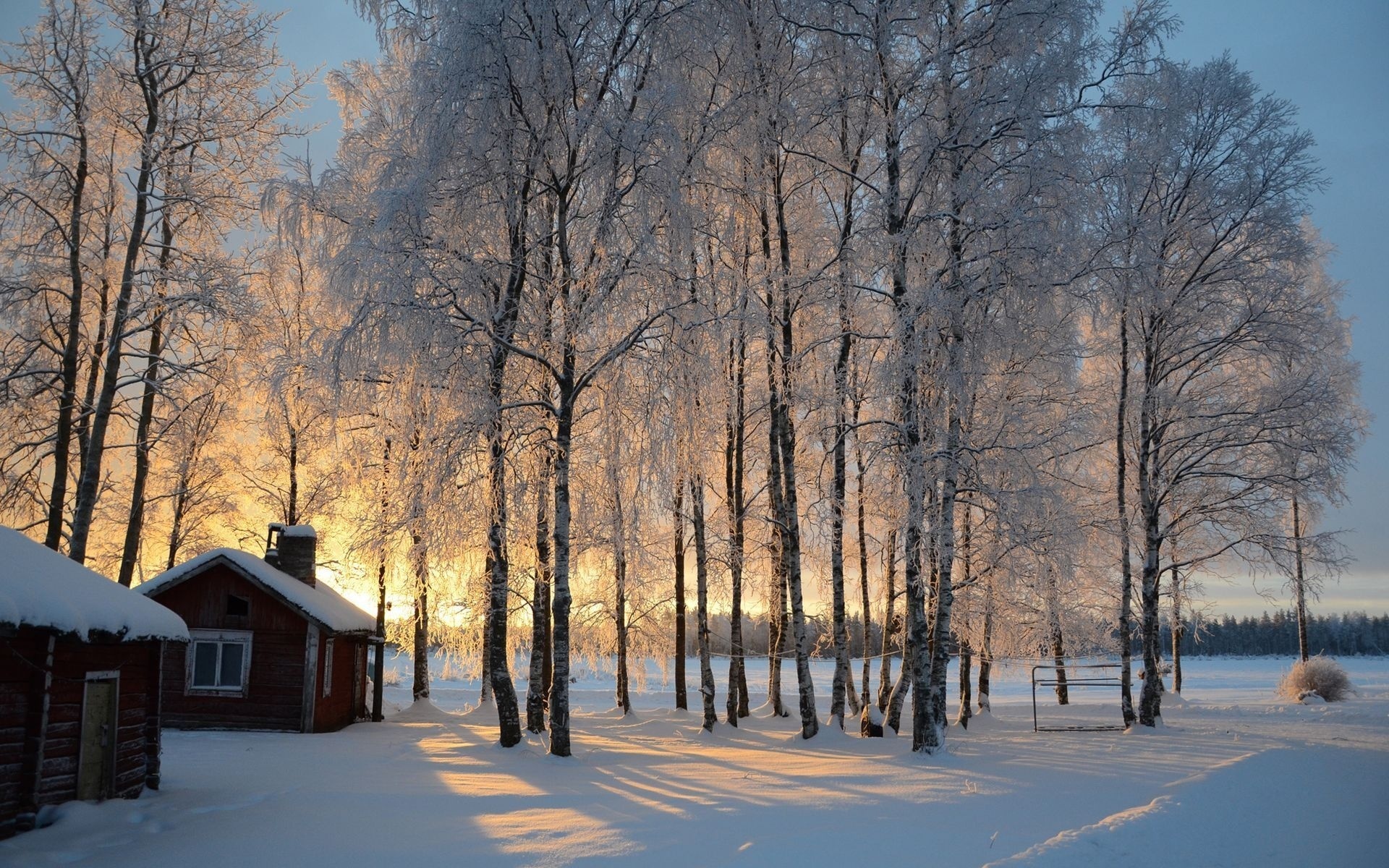 دانلود والپیپر زمستانی با طبیعت بسیار زیبا برای گوشی موبایل 
