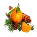 چاپ قاب موبایل و گوشی png عکس نارنگی برای برانگیختن حس تازگی و سرزندگی