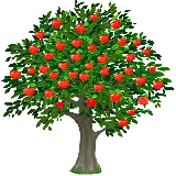 چاپ قاب موبایل و گوشی دانلود عکس درخت سیب با فرمت PNG و ترانسپرنت دوربری شده برای ارائه به عنوان پروژه دانشجویی 