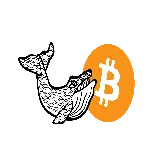 چاپ قاب موبایل و گوشی دانلود عکس PNG و دور بریده شده نهنگ بیت کوین BTC مخصوص طراحی لوگو 