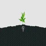 چاپ قاب موبایل و گوشی تصویر زمینه کامپیوتر از مهندسی شهرسازی با بهترین کیفیت