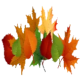 چاپ قاب موبایل و گوشی عکس دوربری شده برگ های پاییزی با فرمت PNG و زمینه سفید 