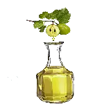 چاپ قاب موبایل و گوشی عکس بدون پس زمینه شیشه روغن زیتون خوراکی فرمت PNG پی ان جی