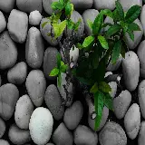 چاپ قاب موبایل و گوشی دانلود تصویر زمینه خارق‌العاده از سنگ های صاف و جالب 