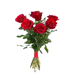 چاپ قاب موبایل و گوشی عکس پی ان جی شاخه گل های رز ویژه استفاده در کارت پستال