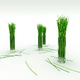چاپ قاب موبایل و گوشی عکس با کیفیت علف لیمو در لیوان ویژه استفاده توسط ادیتور ها