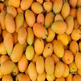 چاپ قاب موبایل و گوشی دانلود تصویر انبه mango با پوست صاف به رنگ زرد روشن