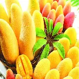 تصاویر انبه یکی از خوشمزه ترین میوه های استوایی در جهان