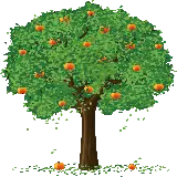 چاپ قاب موبایل و گوشی دانلود عکس پی ان جی png درخت سیب پر برگ و بار دور بری شده 