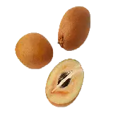 عکس ساپودیلا دوربری شده و بدون زمینه و بک گراند PNG