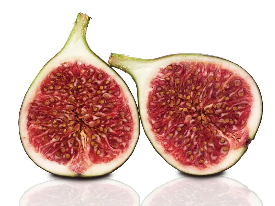 عکس استوک میوه انجیر یک میوه بهشتی و پرخاصیت