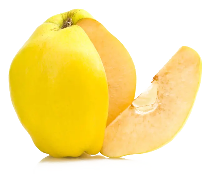 تصویر ساده پی ان جی و دور بری شده میوه به رسیده آب دار و شیرین 