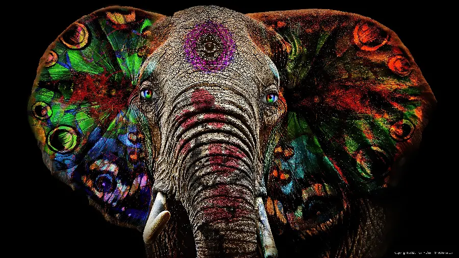 تصویر نقاشی باکیفیت 4k از فیل رنگی سورئالیسم