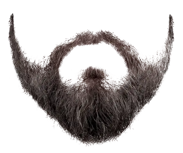 فایل PNG ریش Beard PNG Transparent