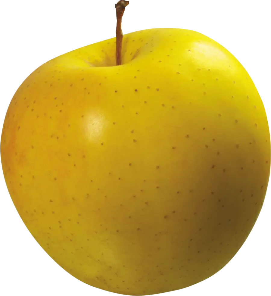 تصویر ساده و شیک سیب زرد طلایی از فاصله نزدیک با فرمت png