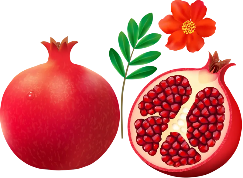 فایل png انار و دانه های انار بدون پس زمینه و بک گراند