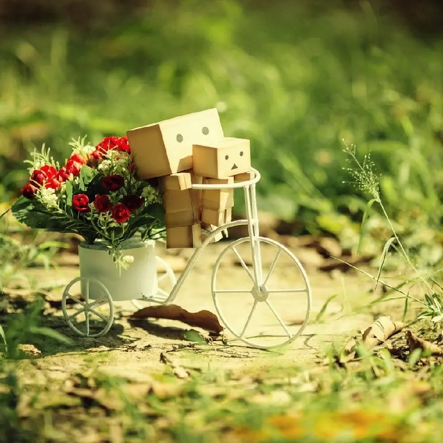 عکس پروفایل عاشقانه عروسک های چوبی سوار دوچرخه ای با دسته گل