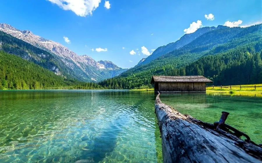 تصویر جذاب و دیدنی دریاچه پر از آب کوهستانی جنگلی با کیفیت بالا 