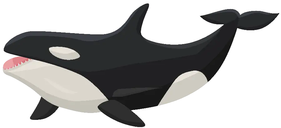 png نهنگ قاتل کارتونی با طراحی بسیار ساده و آسان