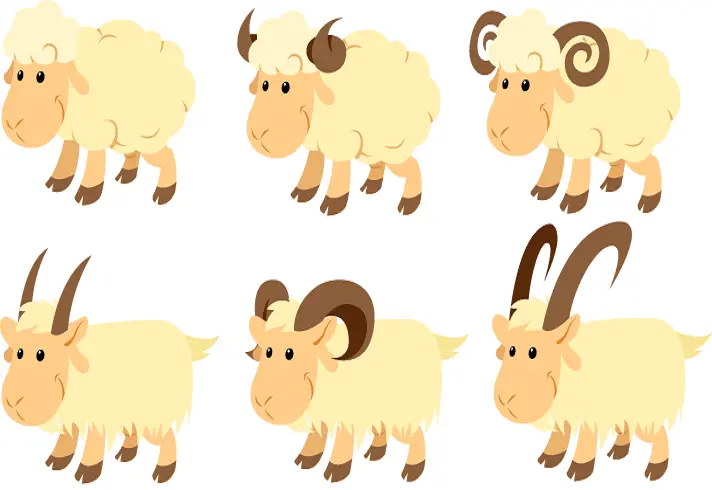 عکس طرح گرافیکی کودکانه گوسفند و قوچ با مزه کارتونی و کیوت