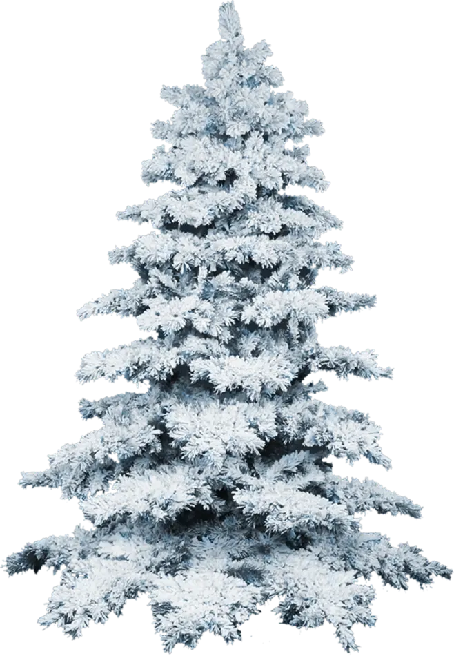 عکس درخت برفی زمستانی PNG پی ان جی دوربری شده