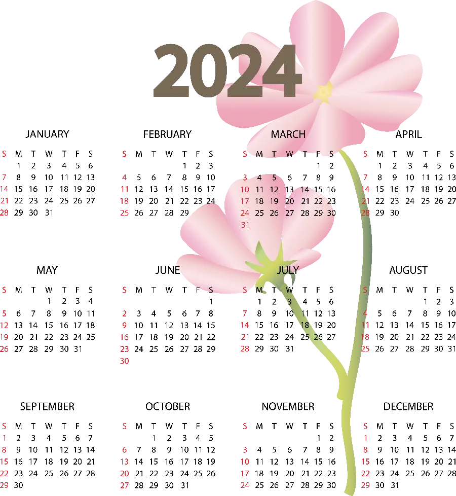 بک گراند تقویم 2024 با پشت زمینه گل های صورتی