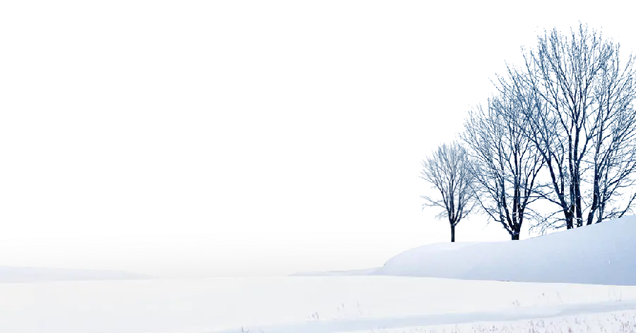 تصویر درخت برفی گرافیکی با فرمت PNG و دوربری شده بدون زمینه 