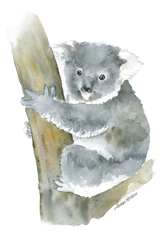 تصویر png نقاشی گرافیکی خرس کوالا طوسی در حال استراحت