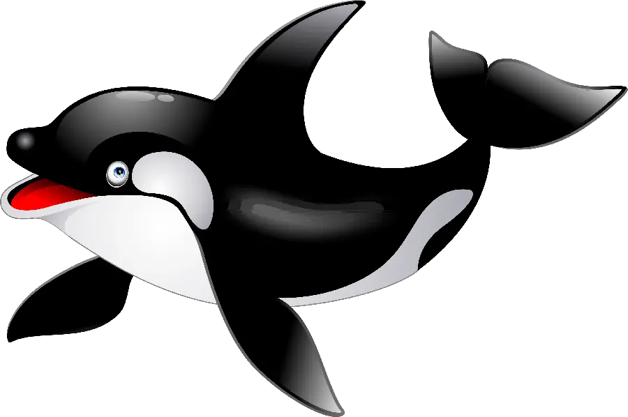 پی ان جی عکس نهنگ قاتل انیمیشنی شاد و پرانرژی با پوست براق