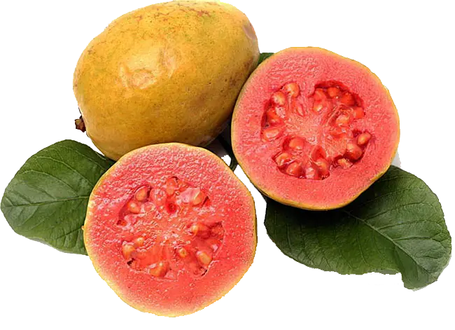 عکس بدون پس زمینه گواوا بمب خاصیت و منبع عالی انرژی