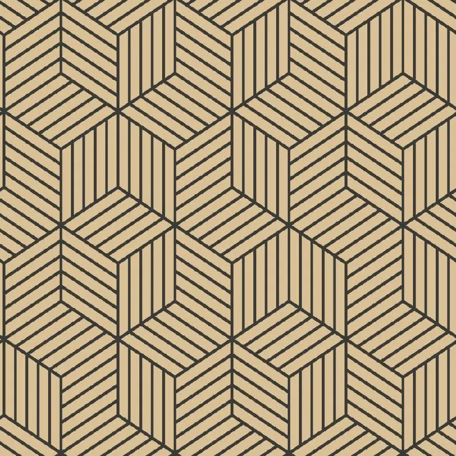 عکس هندسی معاصر توهم زا از مکعب های تو در تو geometric