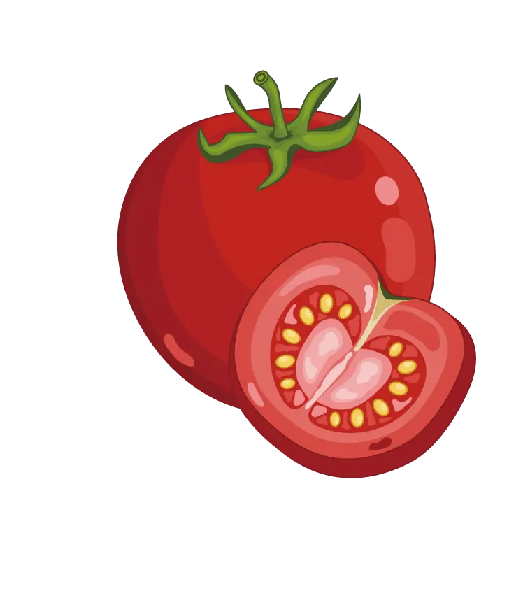 عکس گوجه فرنگی یا بادنجان رومی Solanum lycopersicum