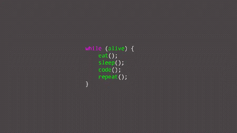 عکس کد حلقه یا وایل در برنامه نویسی با سبک مینیمال و ساده