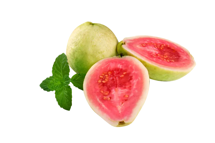 عکس png میوه گواوا رسیده خوش طعم و خوشمزه با کیفیت بالا
