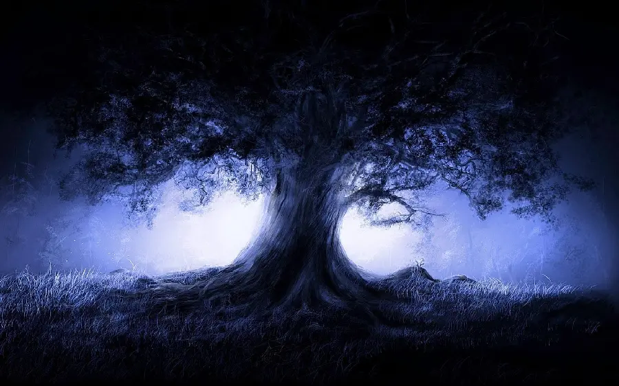 دانلود عکس رایگان درخت با تنه قطور جلوی منبع نور