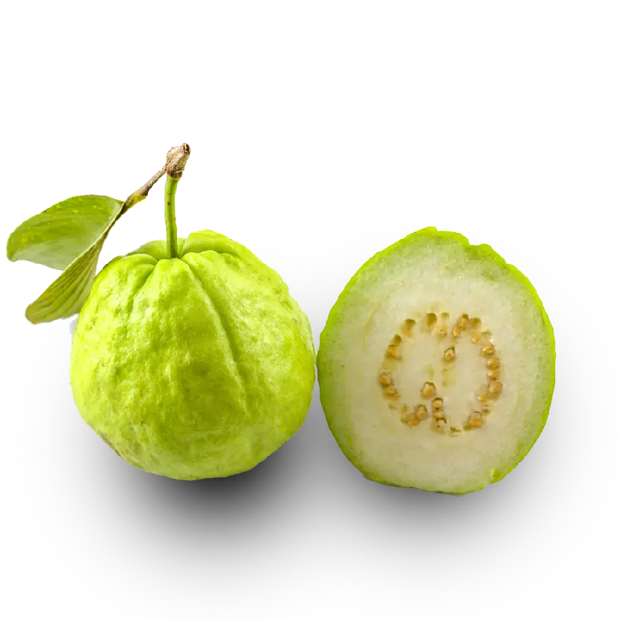 عکس png امرود یا گواوا با کیفیت بالا برای Adobe Illustrator