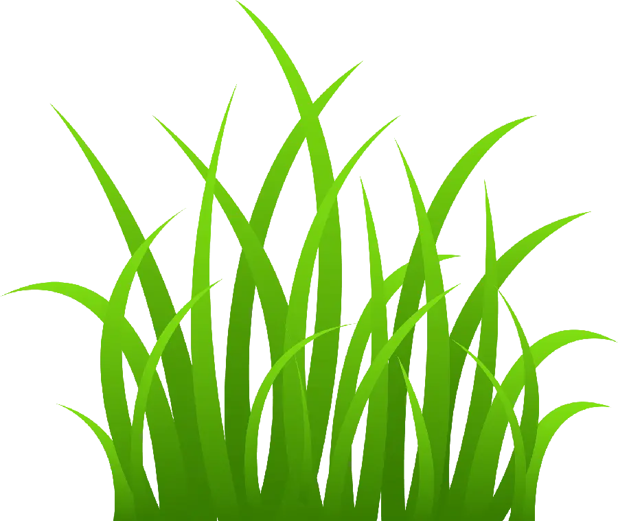 دانلود عکس چمن کارتونی با کیفیت بالا و فرمت PNG
