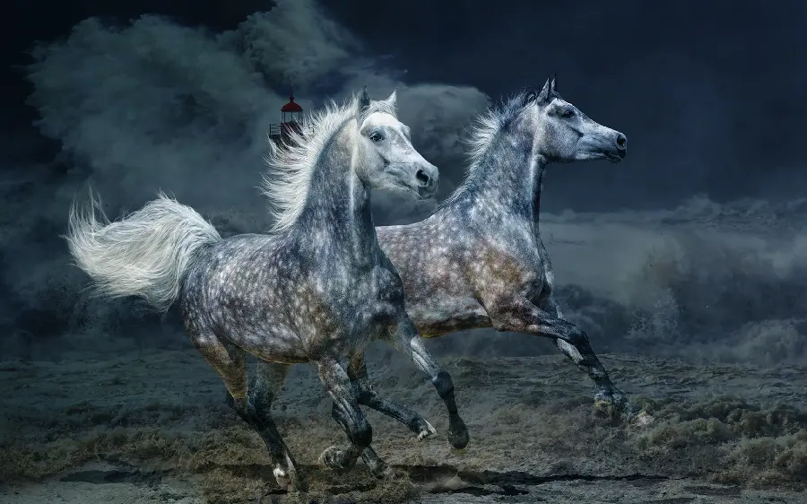 تصویر صفحه و پروفایل اسب های سفید رویایی با افکت سینمایی 