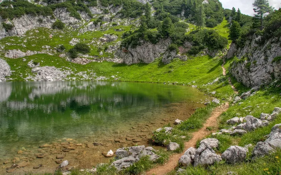 عکس کاملا رایگان از منظره با پوشش گیاهی سرسبز 