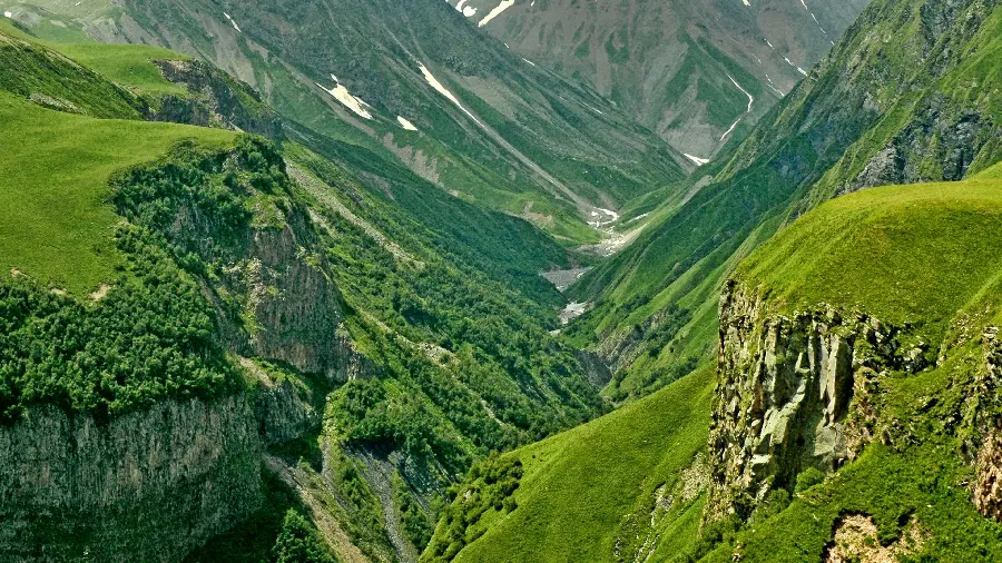 پس زمینه طبیعت سرسبز و جالب و دیدنی با کیفیت بالا برای ویندوز 11 و 12