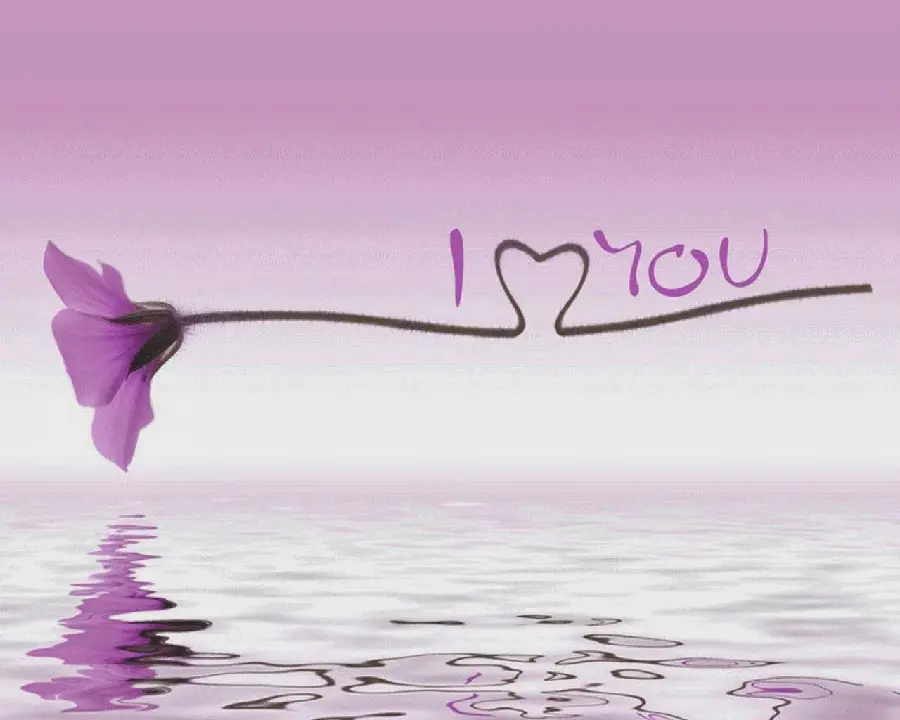 عکس زمینه رمانتیک گل بنفش درکنار جمله عاشقانه I LOVE YOU