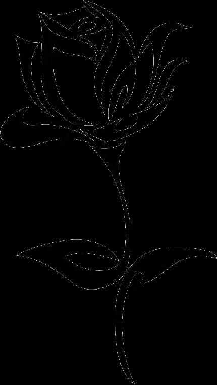 عکس png خالکوبی مینیمال گل با شاخ و برگ ظریف و دیدنی