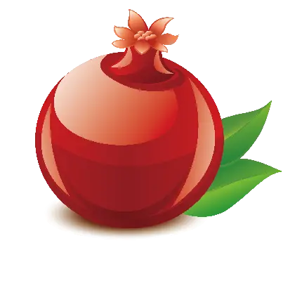 نقاشی انار زیبا