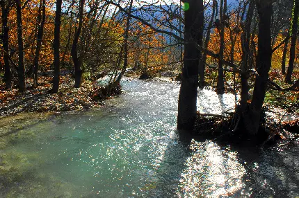 عکس رودخانه زیبا