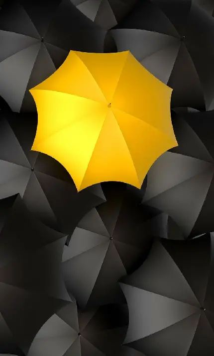 دانلود والپیپر خاص چتر زرد رنگ زیبا در میان چترهای سیاه 