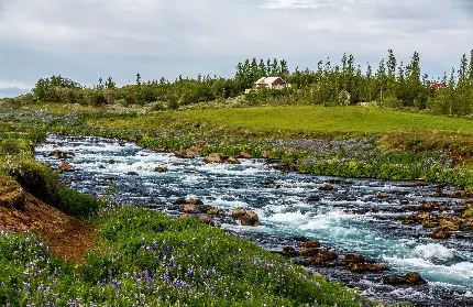 عکس پروفایل از طبیعت سرسبز بهترین مکان برای عکس برداری