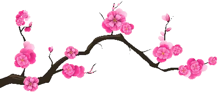 تصویر شکوفه صورتی میوه به روی شاخه درخت با فرمت پی ان جی 